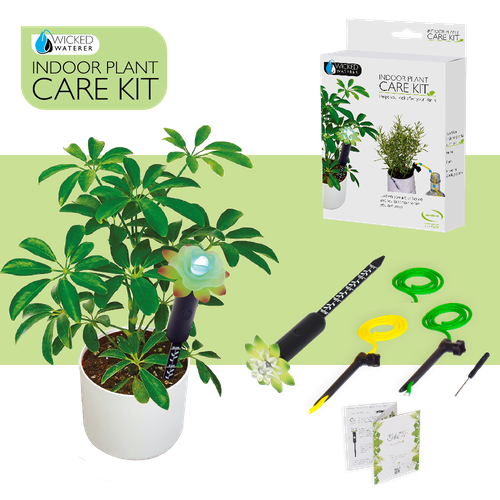 Indoor Plant Care Kit