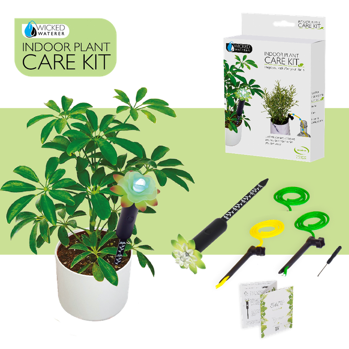 Indoor Plant Care Kit