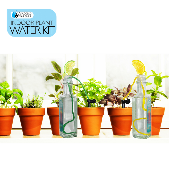 Indoor Plant Water KIt
