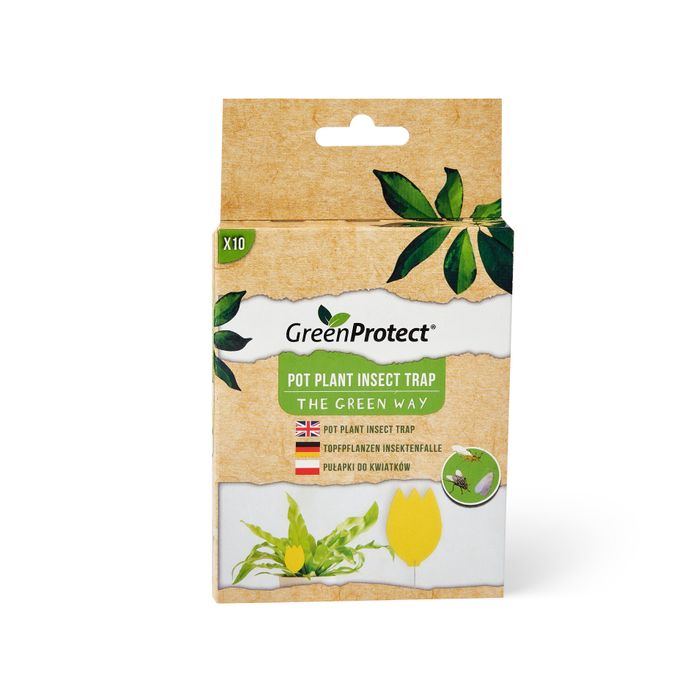Pot Plant Insect Trap