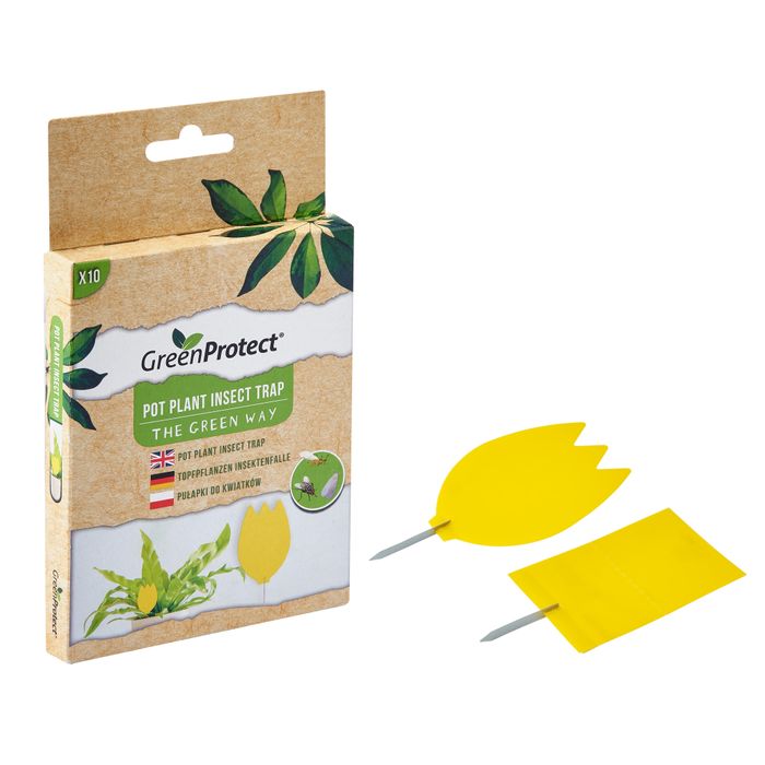 Pot Plant Insect Trap