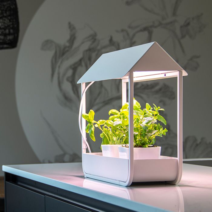 Grow Lamps