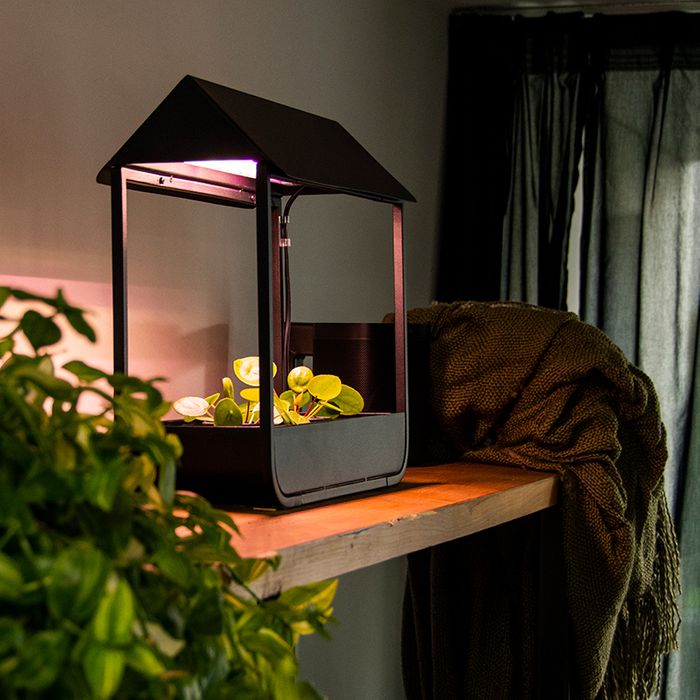 Grow Lamps