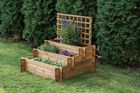Three level Vegetable bed with trelis