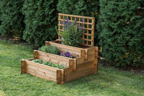 Three level Vegetable bed with trelis