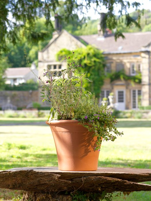 Yorkshire Flowerpots Ripon Pot