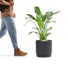 Tierra Verde Planters