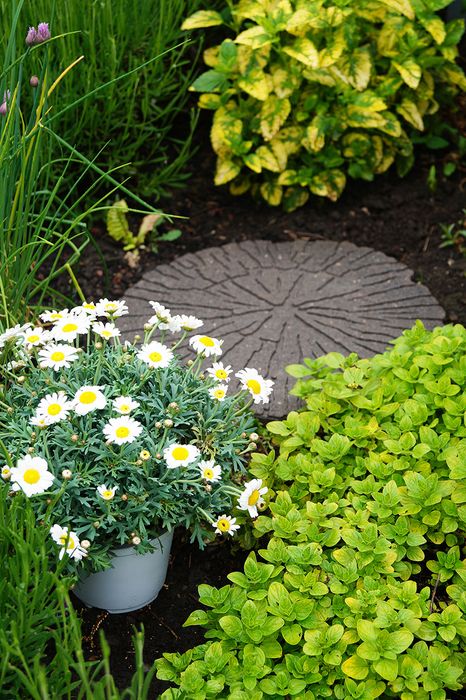 Eco Way Stepping Stones