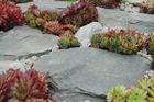 Rockery and Boulders