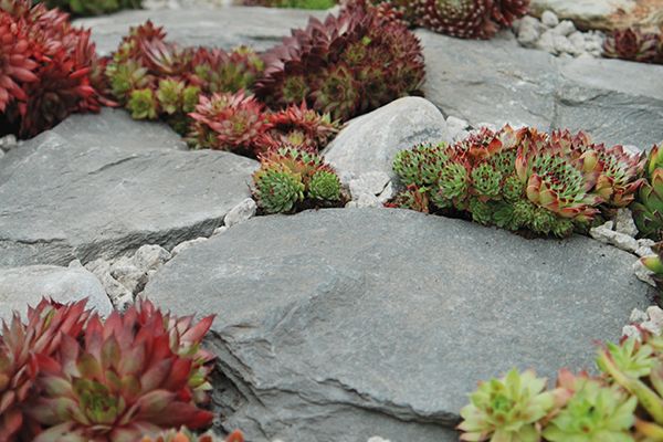 Rockery and Boulders