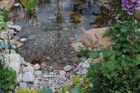 Rockery and Boulders