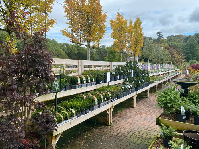 Plant Area Benching, Staging & Display Stands