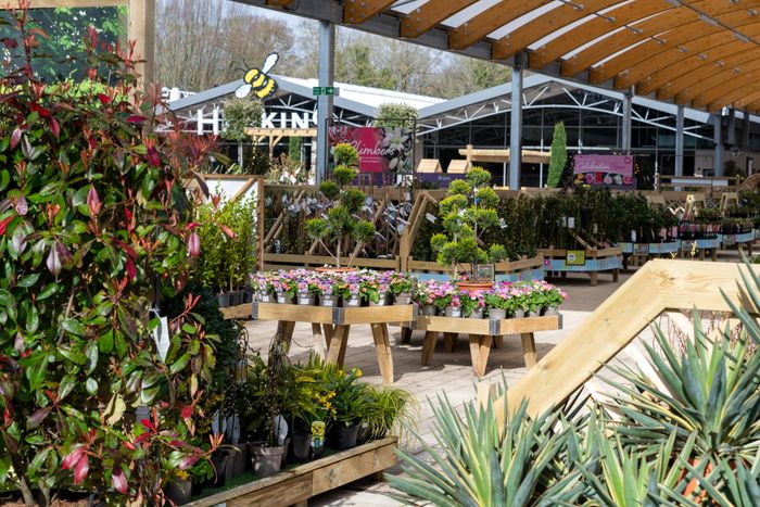 Plant Area Timber Displays, Plant Benching, Staging and display stands