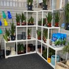 Houseplant Retail Display / Houseplant Merchandising solutions