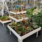 Houseplant Retail Display / Houseplant Merchandising solutions