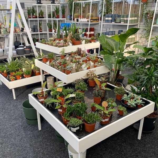 Houseplant Retail Display / Houseplant Merchandising solutions