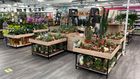 Houseplant Retail Display / Houseplant Merchandising solutions