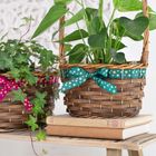 Festive pots and planters