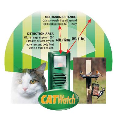 Catwatch
