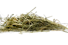 Rye Grass Hay