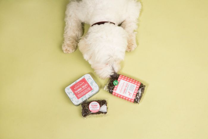 Dog Treats & Chews - Eco-Friendly & Healthy