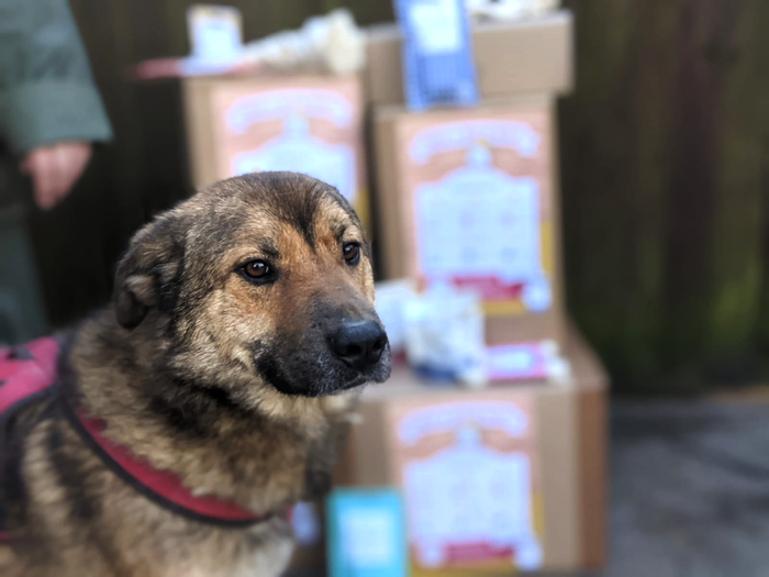 Treat A Dog In Need - Donations with every purchase