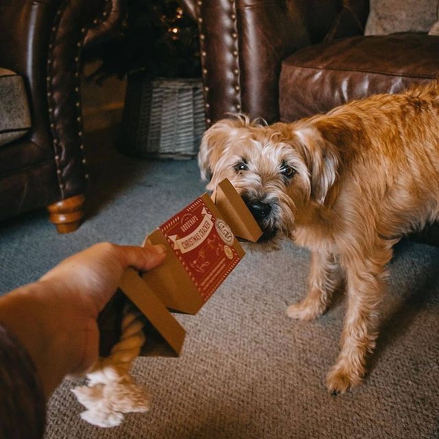 Dog Gifts - Christmas and Everyday