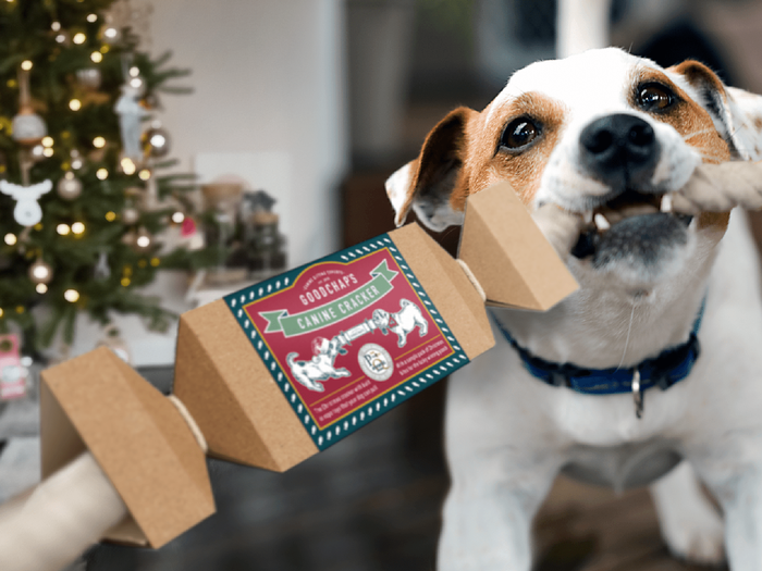 Dog Gifts - Christmas and Everyday