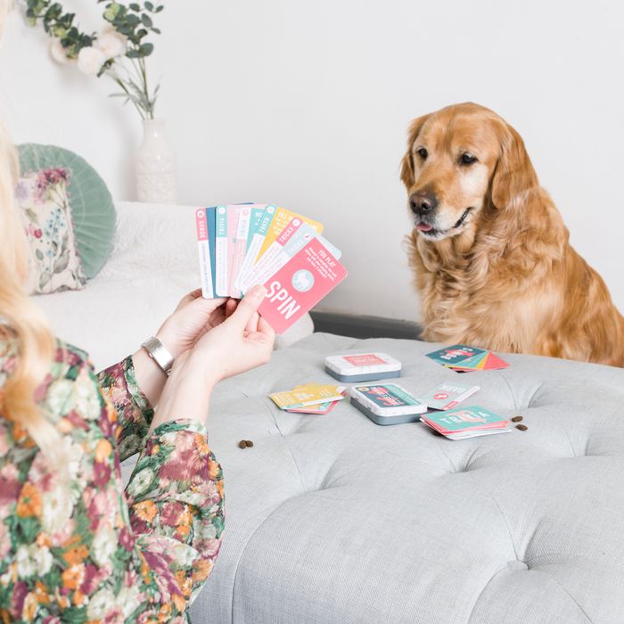 Stationery and Games for Human and Hound