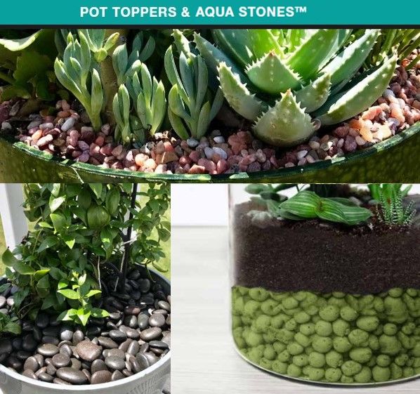 Pot Toppers & Aqua Stones