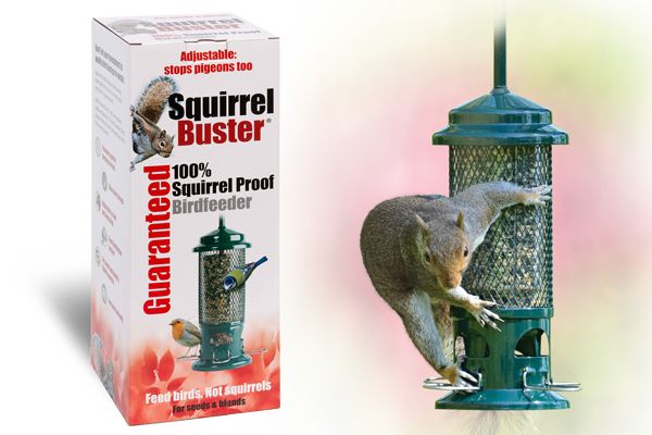 Squirrel Buster