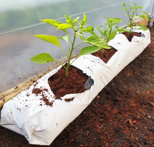 Carbon Neutral Coir Growbags
