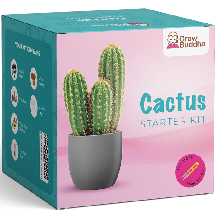 Grow Your Own Cactus Kit