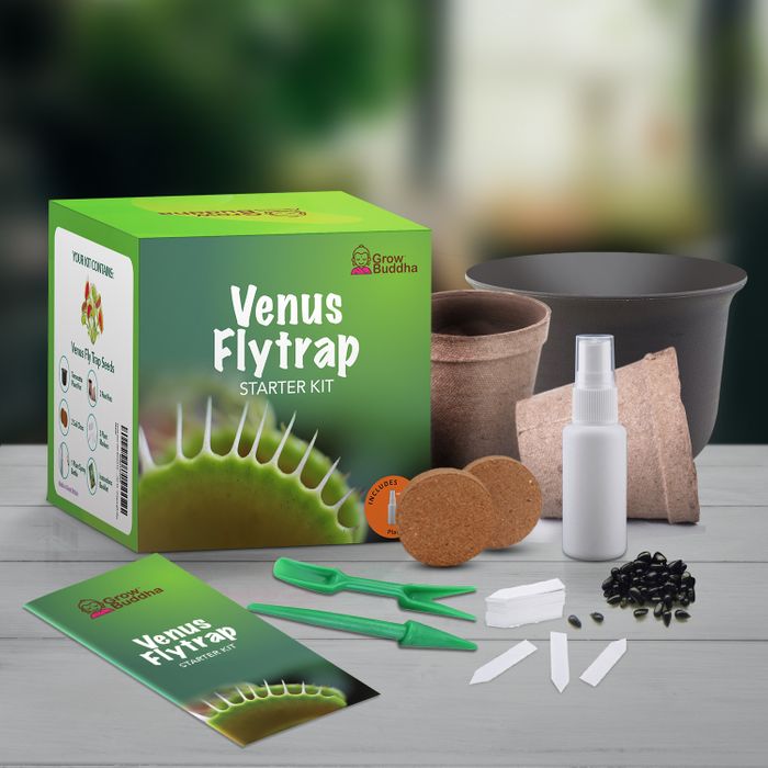 Grow Your Own Venus Flytrap Kit