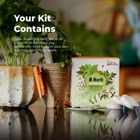 Grow Your Own 8 Herbs Kit