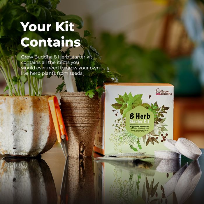 Grow Your Own 8 Herbs Kit