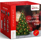 Grow Your Own Christmas Kit