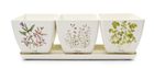 Eco Bamboo Pots