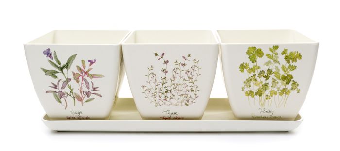 Eco Bamboo Pots