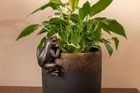 Pot Buddies