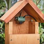 WiFi Bird Box Camera (3rd Gen)