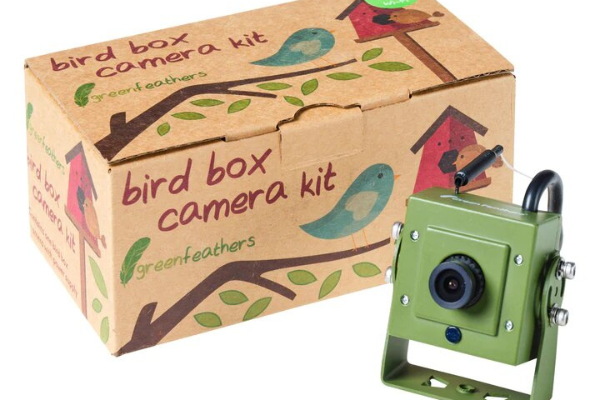Green Feathers WiFi Bird Box Camera