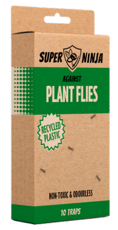 Super Ninja - Plant Fly Trap