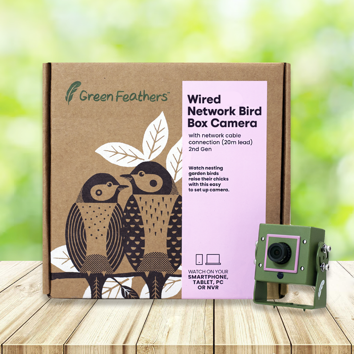 Wired Network Bird Box Camera