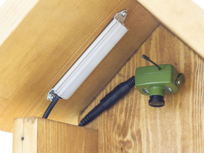 Green Feathers LED Bird Box Lamp