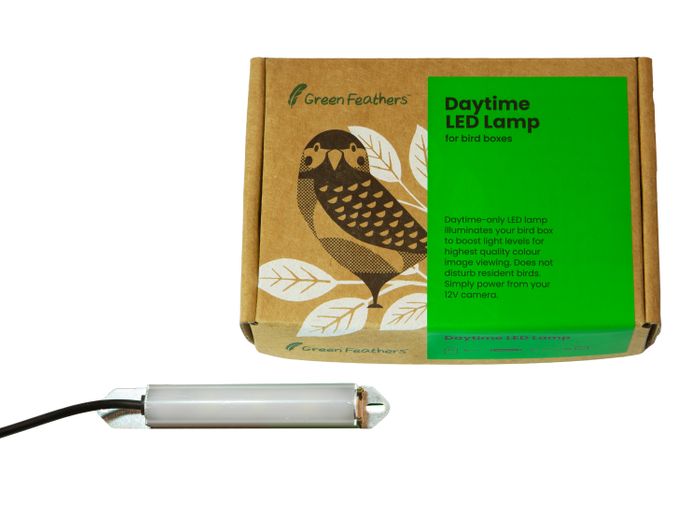 Green Feathers LED Bird Box Lamp