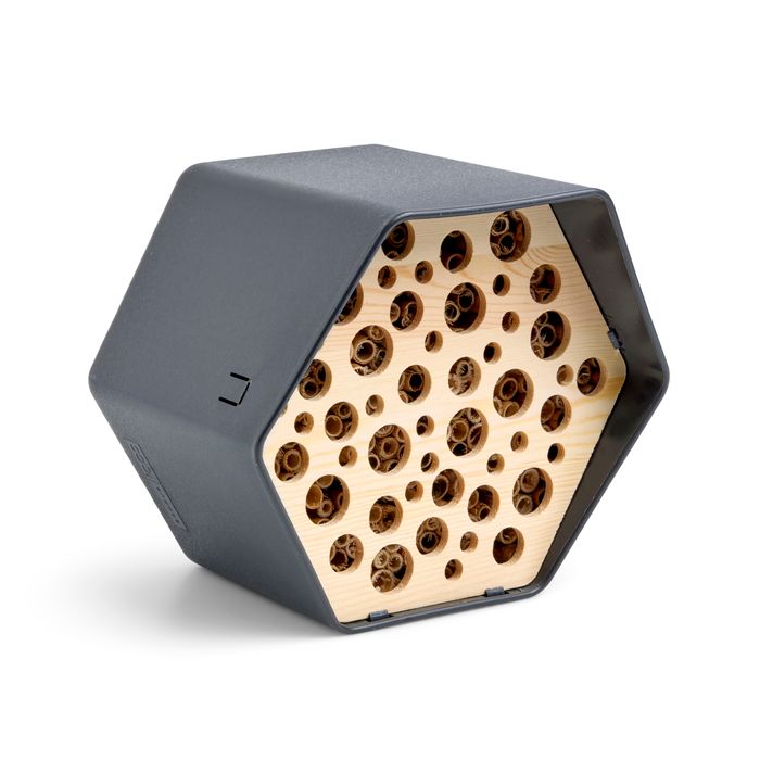 Biodiversity Hive Collection