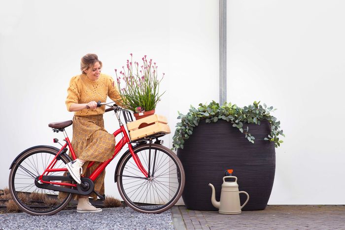 Rain Barrel  400L