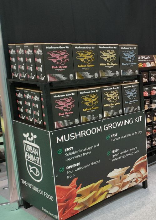 Oyster Mushroom growing kit