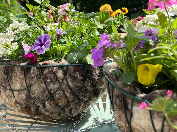Hortiwool Hanging Basket Liners